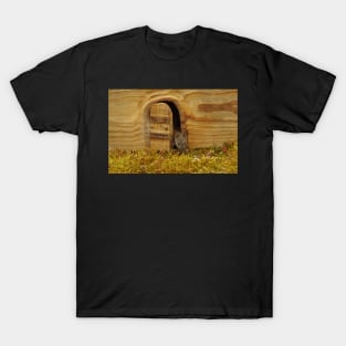 mouse at the door T-Shirt